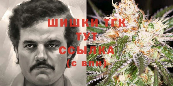 PSILOCYBIN Майский