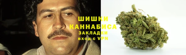PSILOCYBIN Майский