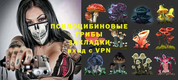 PSILOCYBIN Майский