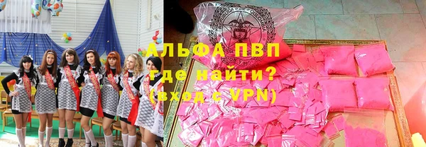 PSILOCYBIN Майский