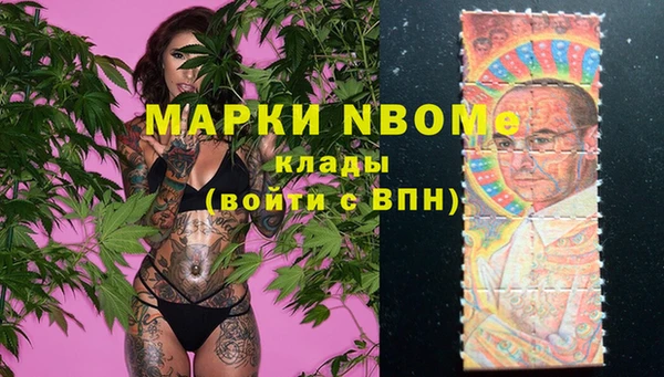 PSILOCYBIN Майский