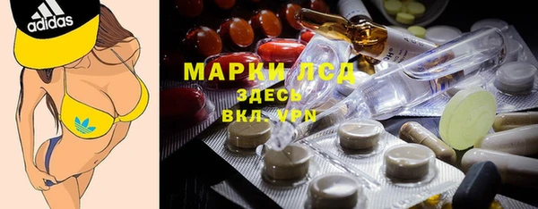 PSILOCYBIN Майский