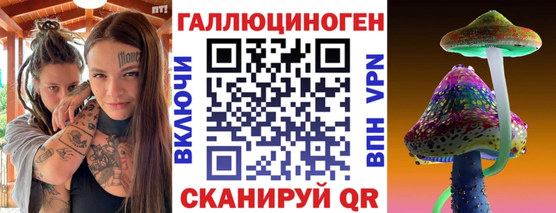 Купить закладки  Княгинино  Галлюциногенные грибы MAGIC MUSHROOMS 